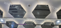 Het hexagonale Decoratieve 1100 Comité van het Aluminiumplafond voor Luxehandelscentrum